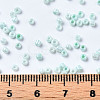 12/0 Glass Seed Beads SEED-S060-A-973-5