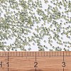 MIYUKI Delica Beads SEED-J020-DB2163-4