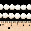 Shell Pearl Beads Strands BSHE-K015-10mm-03-2