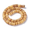Natural Freshwater Shell Beads Strands X-BSHE-I016-04B-2