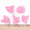 Transparent Acrylic Beads BSF796-C10-6