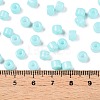 Opaque Baking Paint Glass Seed Beads SEED-T008-02N-5