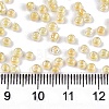 8/0 Glass Seed Beads X-SEED-A016-3mm-202-4