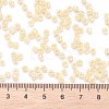 Glass Seed Beads SEED-XCP0001-01-4