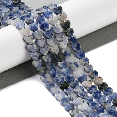 Natural Blue Spot Jasper Beads Strands G-M403-A21-02-1