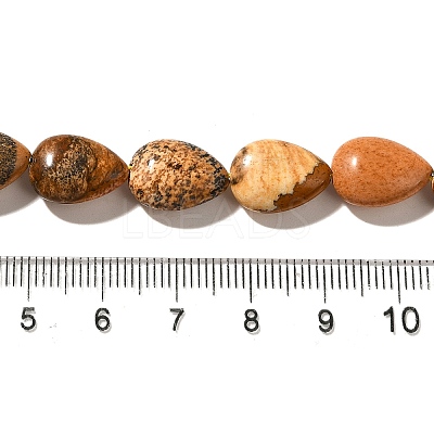 Natural Picture Jasper Beads Strands G-I377-A17-1