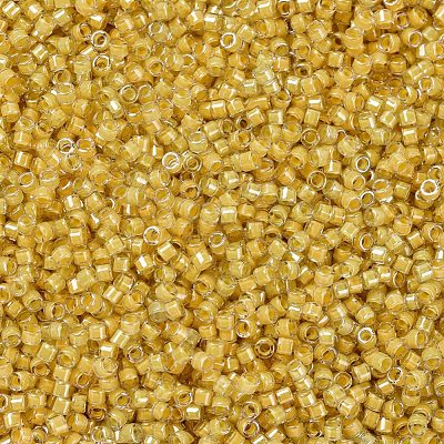 MIYUKI Delica Beads X-SEED-J020-DB2041-1
