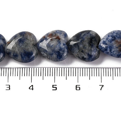 Natural Blue Spot Jasper Beads Strands G-I372-A13-02-1