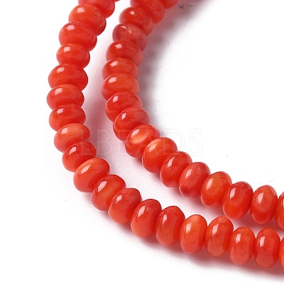 Natural Freshwater Shell Beads Strands SSHEL-C013-08A-1