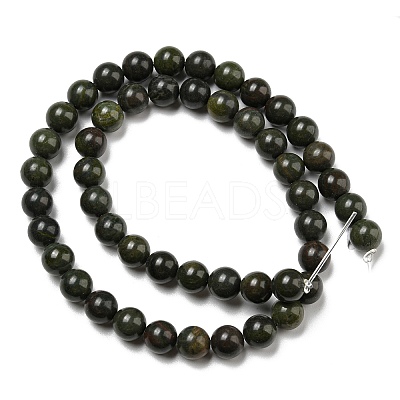 Natural African Green Autumn Jasper Beads Strands G-R494-A19-03-1