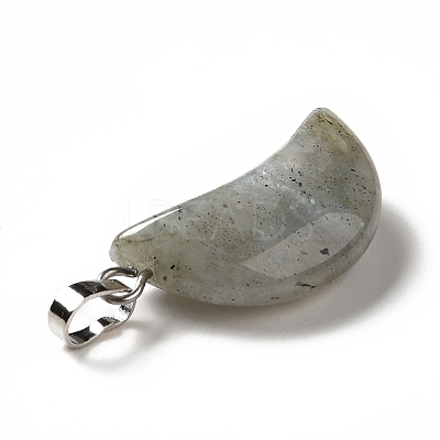 Natural Labradorite Pendants G-Z022-05C-1