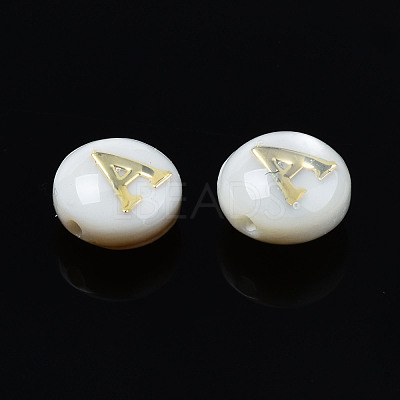 Natural Freshwater Shell Beads SHEL-S278-036A-1