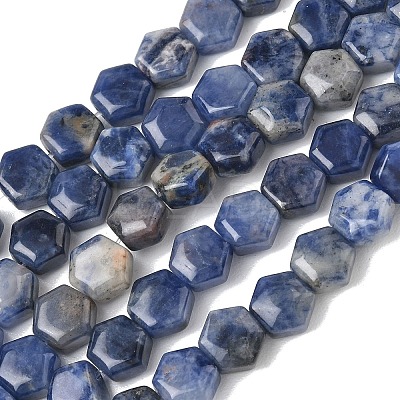 Natural Sodalite Beads Strands G-G463-A10-8x9mm-1