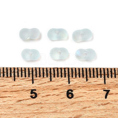 Glass Frosted Seed Beads SEED-NH0002-01D-1