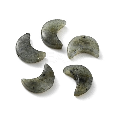 Natural Labradorite Beads G-NH0001-01D-1