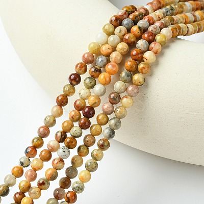 Natural Crazy Lace Agate Round Bead Strands X-G-E334-4mm-20-1