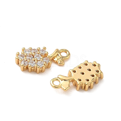Brass Micro Pave Clear Cubic Zirconia Charms KK-B160-33G-1