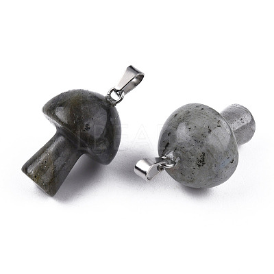Natural Labradorite Pendants G-N0325-10O-1