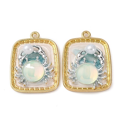 Light Gold Tone Alloy Enamel Pendants ENAM-B028-37KCG-01B-1