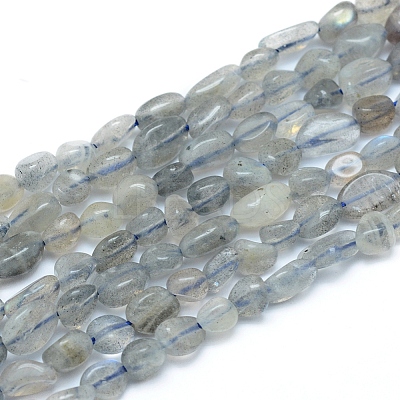 Natural Labradorite Beads Strands G-L550A-06-1