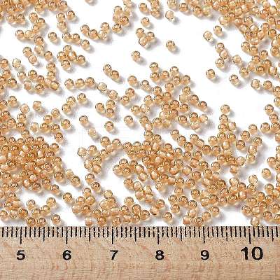 TOHO 11/0 Round Beads X-SEED-TR11-0923-1