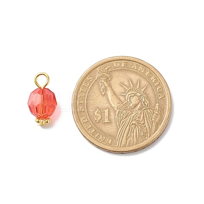 Transparent Acrylic Pendants PALLOY-JF01834-09-1