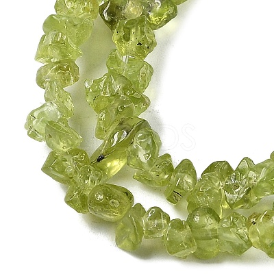 Natural Peridot Beads Strands G-P332-48-01-1