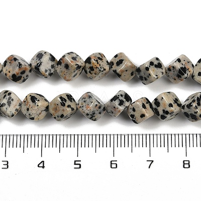 Natural Dalmatian Jasper Beads Strands G-A257-A17-01-1