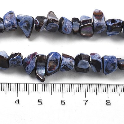 Dyed Natural Trochus Shell Beads Strands BSHE-Z006-01C-1