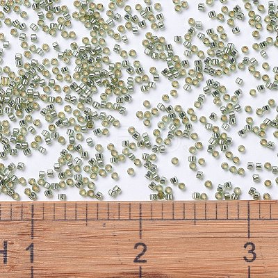 MIYUKI Delica Beads SEED-J020-DB2163-1