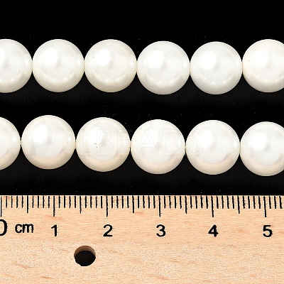 Shell Pearl Beads Strands BSHE-K015-10mm-03-1