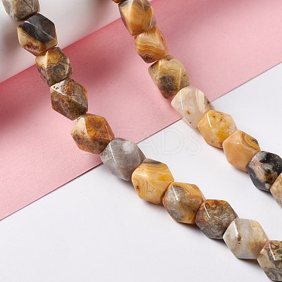 Natural Crazy Lace Agate Beads Strands G-L235B-12-1