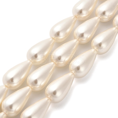 Electroplate Shell Pearl Beads Strands BSHE-G010-10x20mm-01-1