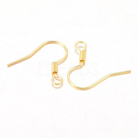 Iron Earring Hooks X-E133-G-1