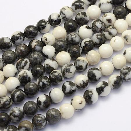 Natural Black Zebra Jasper Beads Strands G-G697-F02-8mm-1