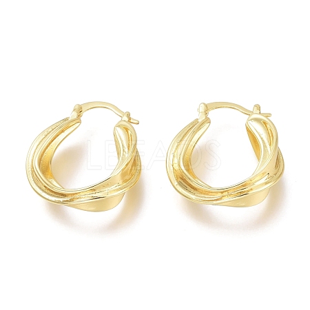 Brass Hoop Earrings EJEW-H104-03G-1
