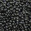 TOHO 6/0 Round Beads X-SEED-TR06-0089-3
