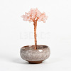 Natural Rose Quartz Chips Tree Display Decorations PW23051675806-1