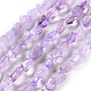 Natural Amethyst(Dyed & Heated) Beads Strands G-P497-01C-47-1