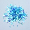 Plastic Candy Sequins/Paillette Chip DIY-I019-02D-2