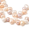 Natural Cultured Freshwater Pearl Beads Strands PEAR-I007-04F-01B-4