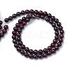 Natural Bloodstone Beads Strands G-R411-06-4mm-2
