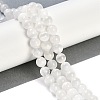 Natural Selenite Beads Strands X-G-G167-A01-01-2