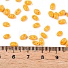 Baking Paint Glass Seed Beads SEED-T006-03N-4