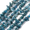 Natural Apatite Beads Strands G-F666-01B-02-01-2