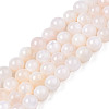 Natural Freshwater Shell Beads Strands BSHE-T009A-01B-1
