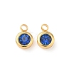 304 Stainless Steel Charms STAS-Z115-01G-13-1