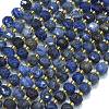 Natural Sodalite Beads Strands G-K389-E74-01B-1