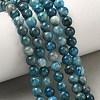 Natural Apatite Beads Strands LS-G-F816-A01-01A-1