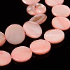 Natural Shell Beads Strands PBB251Y-6-3